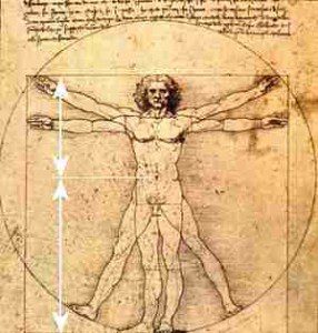 Da vinci beautiful body