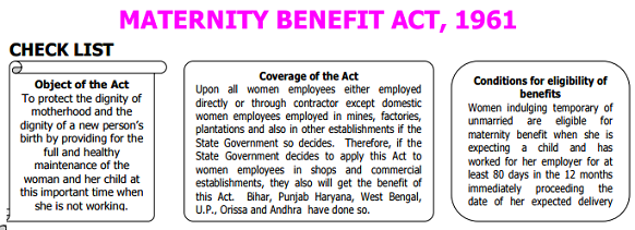Excerpt of Maternity Leave Overview 