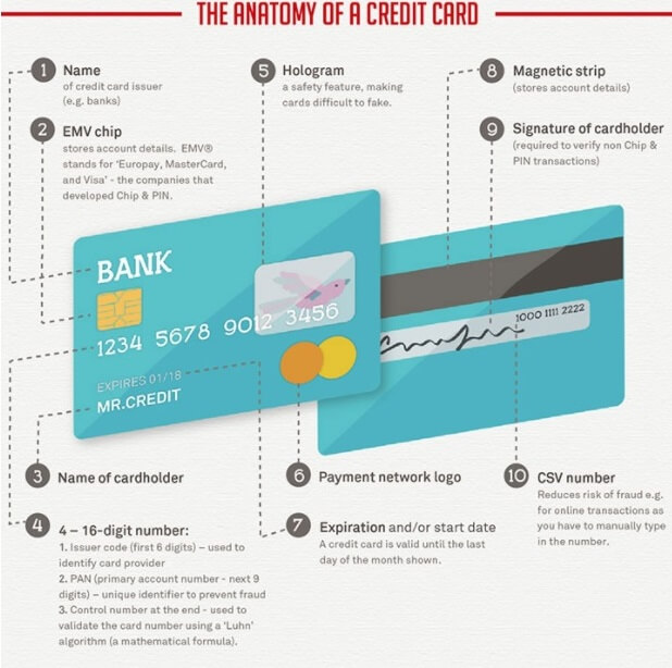 Logos and Codes: The Anatomy of a Credit Card
