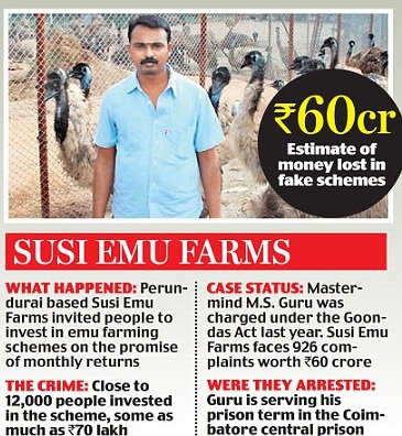 Ponzi Scheme about Emu Farming